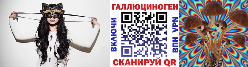 Галлюциногенные грибы мухоморы  Теберда 