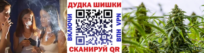 Конопля гибрид  закладки  Теберда 